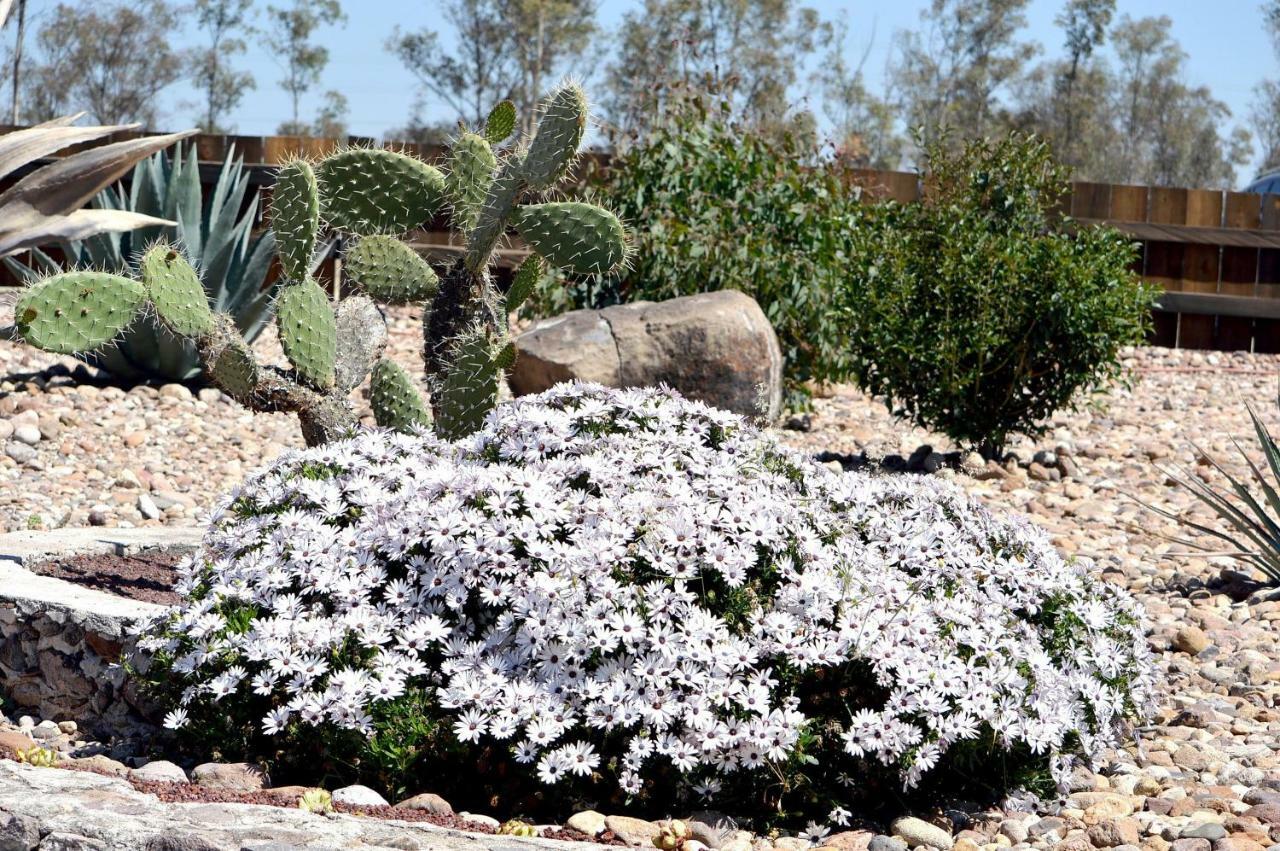 Hacienda Los Picachos Alcocer 外观 照片